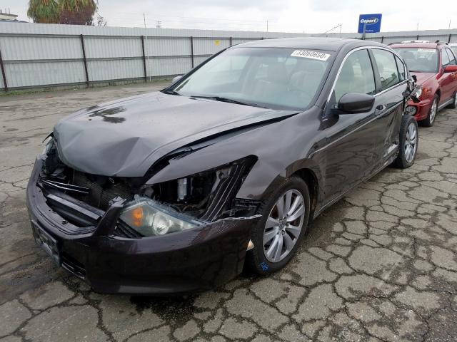 1HGCP2F83BA041481 - 2011 HONDA ACCORD EXL  photo 2