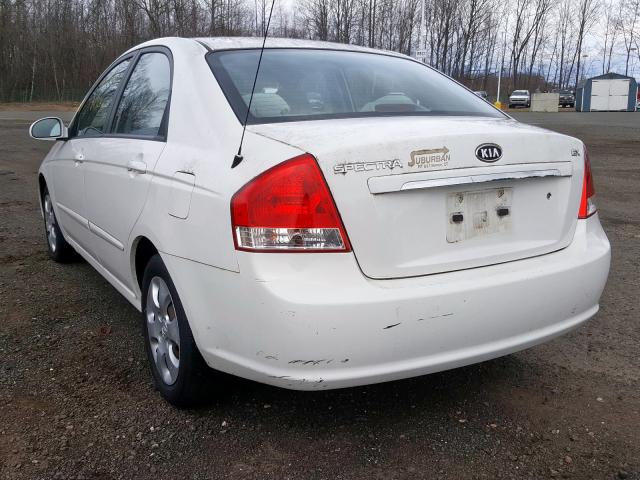 KNAFE122085565280 - 2008 KIA SPECTRA EX  photo 3