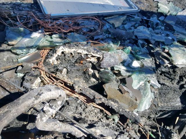 3VWCM31Y94M323406 - 2004 VOLKSWAGEN NEW BEETLE მწვანე ფოტო 8