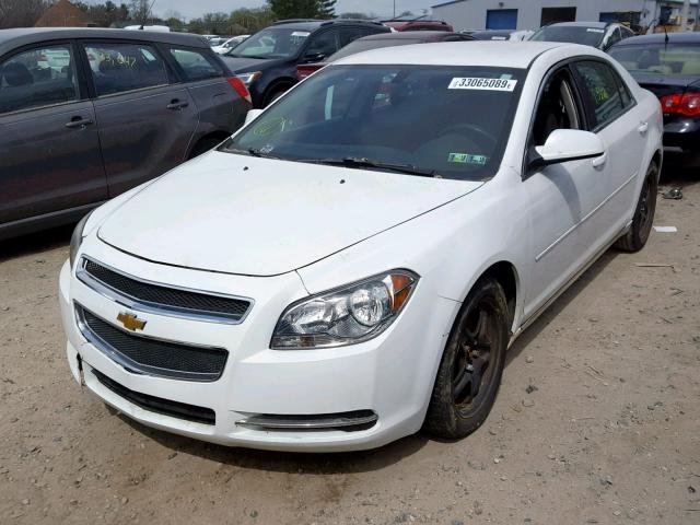 1G1ZH57B094160429 - 2009 CHEVROLET MALIBU 1LT 白色 照片 2
