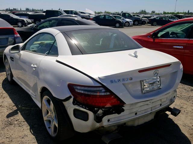 WDDPK4HA1EF083106 - 2014 MERCEDES-BENZ SLK 250 WHITE photo 3