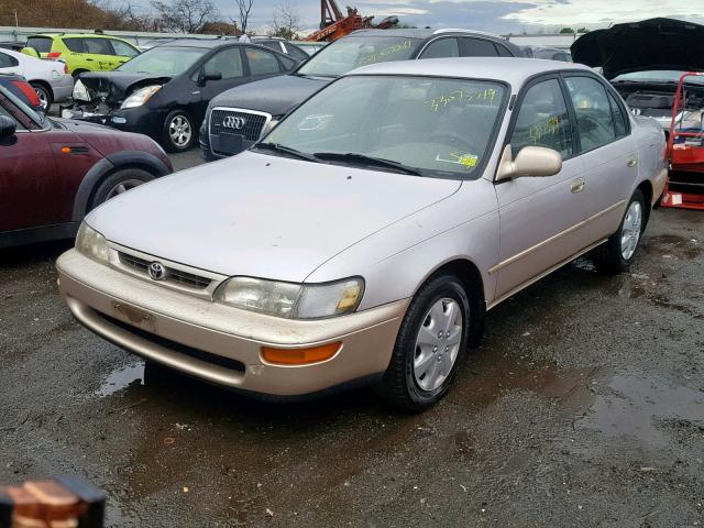 2T1BB02E5TC169145 - 1996 TOYOTA COROLLA DX GOLD photo 2