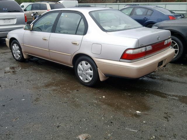 2T1BB02E5TC169145 - 1996 TOYOTA COROLLA DX GOLD photo 3