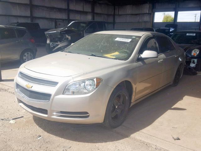 1G1ZC5E08AF311509 - 2010 CHEVROLET MALIBU 1LT 米色 照片 2