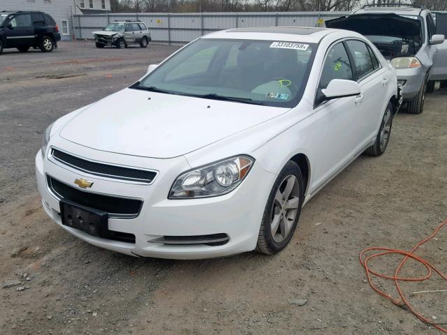 1G1ZC5E14BF115657 - 2011 CHEVROLET MALIBU 1LT 白色 照片 2
