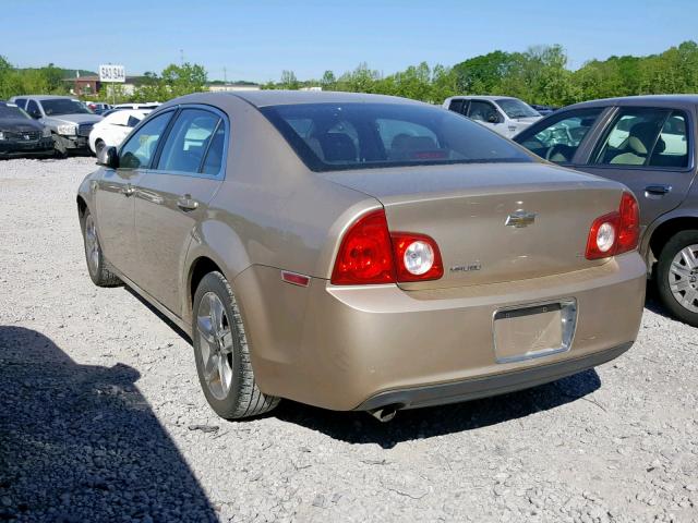1G1ZH57B58F220739 - 2008 CHEVROLET MALIBU 1LT 金色 照片 3