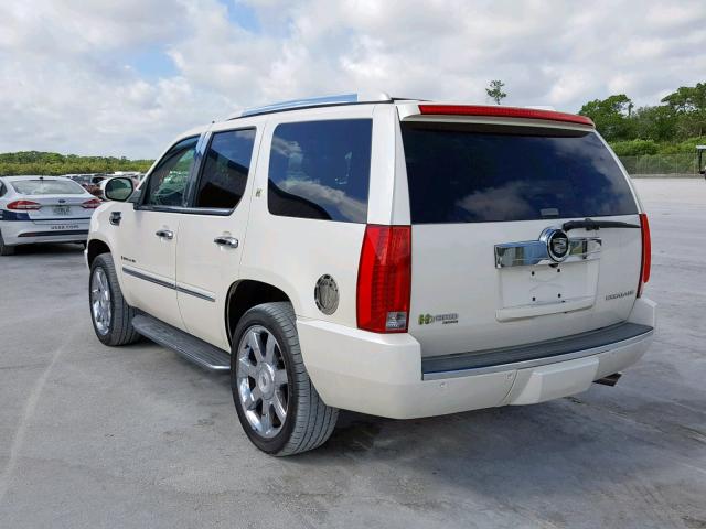 1GYFC43579R256932 - 2009 CADILLAC ESCALADE H BEIGE photo 3