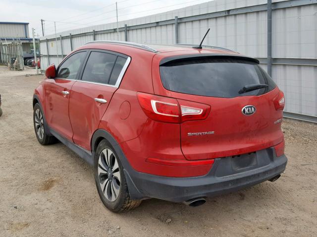 KNDPC3A60D7497462 - 2013 KIA SPORTAGE S RED photo 3