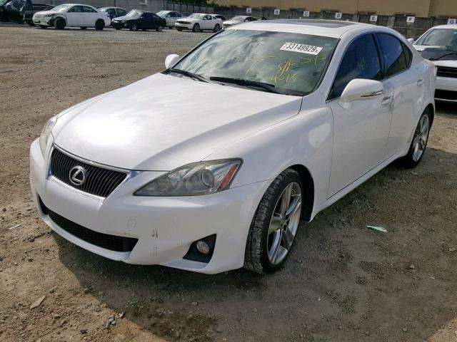 JTHBF5C27D5186726 - 2013 LEXUS IS 250 WHITE photo 2