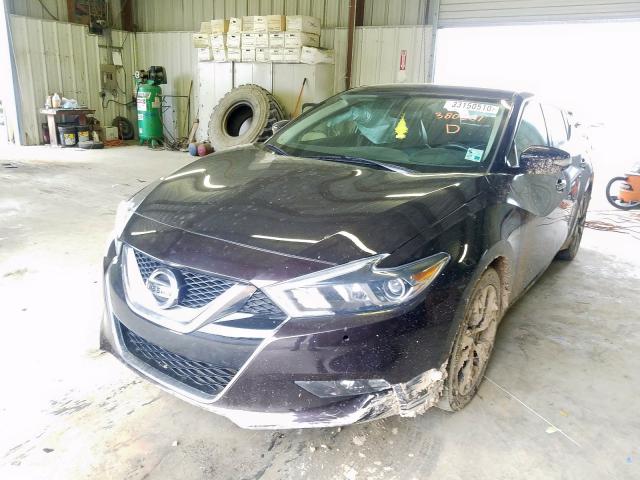 1N4AA6AP4HC380301 - 2017 NISSAN MAXIMA 3.5S  photo 2