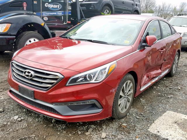 5NPE34AFXGH389234 - 2016 HYUNDAI SONATA SPO RED photo 2