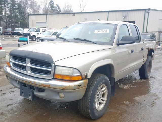 1B7HG48N42S638507 - 2002 DODGE DAKOTA QUA BEIGE photo 2