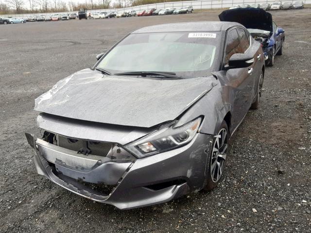 1N4AA6AP1HC443449 - 2017 NISSAN MAXIMA 3.5 GRAY photo 2