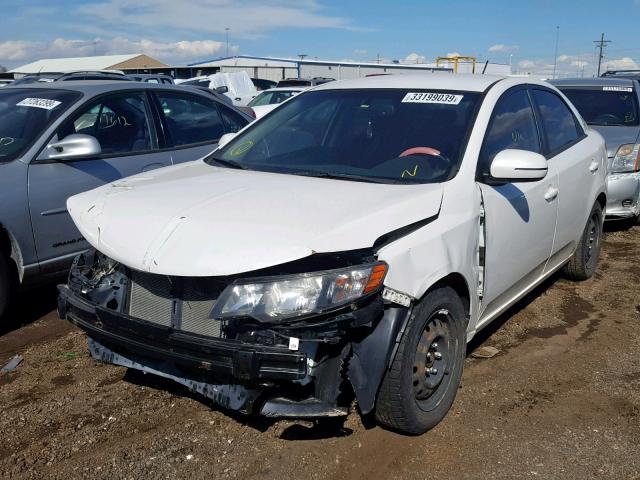 KNAFU4A2XB5415643 - 2011 KIA FORTE EX WHITE photo 2