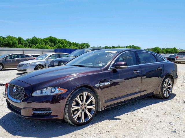 SAJWA2GE0BMV16814 - 2011 JAGUAR XJL SUPERC MAROON photo 2