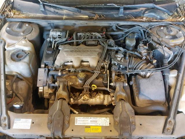 2G1WL52M3X9130863 - 1999 CHEVROLET LUMINA BAS GOLD photo 7