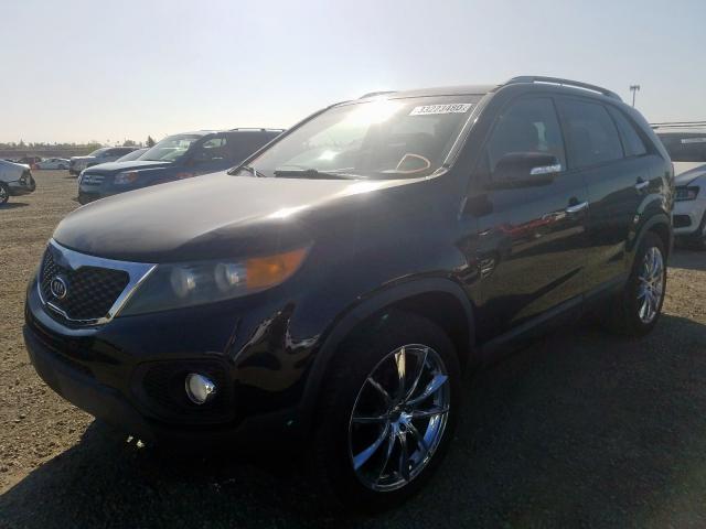 5XYKT4A10BG139525 - 2011 KIA SORENTO BASE  photo 2