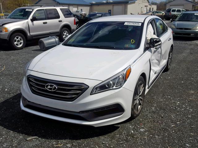 5NPE34AB7FH110043 - 2015 HYUNDAI SONATA SPO WHITE photo 2