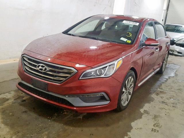 5NPE34AF8GH421548 - 2016 HYUNDAI SONATA SPO RED photo 2