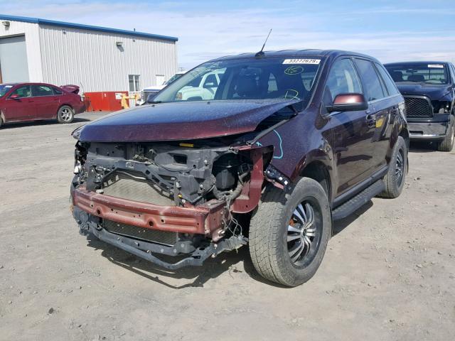 2FMDK4KCXCBA23438 - 2012 FORD EDGE LIMIT BURGUNDY photo 2