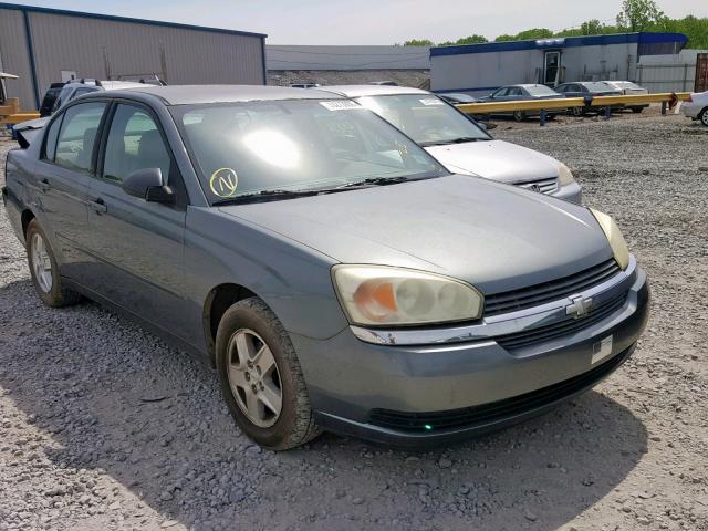 1G1ZT54865F182232 - 2005 CHEVROLET MALIBU LS GRAY photo 1