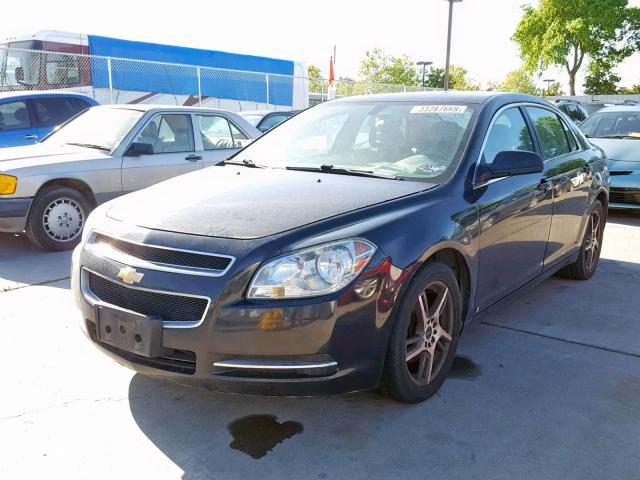 1G1ZG57B59F254460 - 2009 CHEVROLET MALIBU LS BLUE photo 2