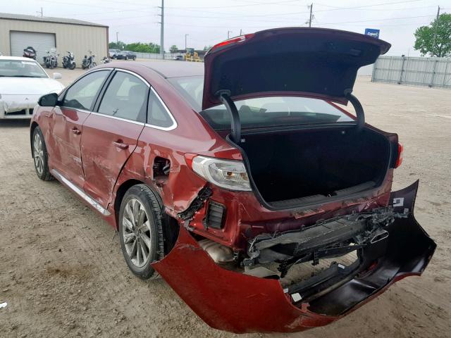 5NPE34AF4GH428240 - 2016 HYUNDAI SONATA SPO RED photo 3