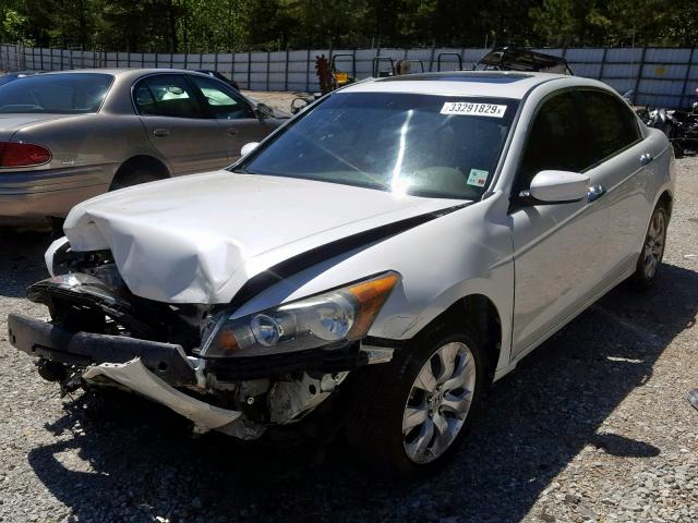 1HGCP36808A013409 - 2008 HONDA ACCORD EXL WHITE photo 2