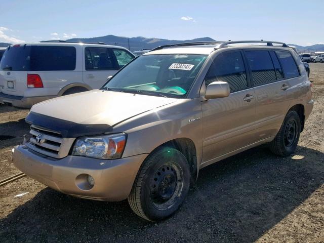 JTEEP21A560137279 - 2006 TOYOTA HIGHLANDER GOLD photo 2