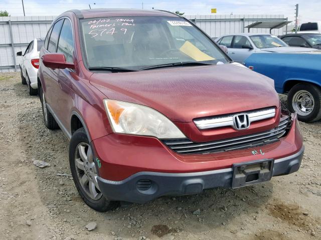 JHLRE48737C040750 - 2007 HONDA CR-V EXL RED photo 1