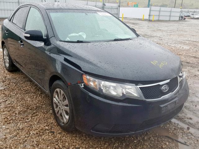 KNAFU4A26A5854577 - 2010 KIA FORTE EX BLACK photo 1