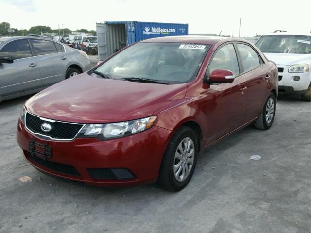 KNAFU4A24A5104336 - 2010 KIA FORTE EX RED photo 2