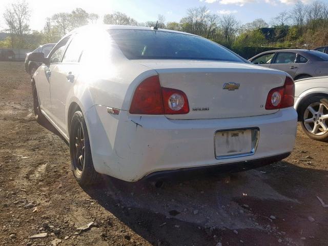1G1ZH57B284221875 - 2008 CHEVROLET MALIBU 1LT 白色 照片 3