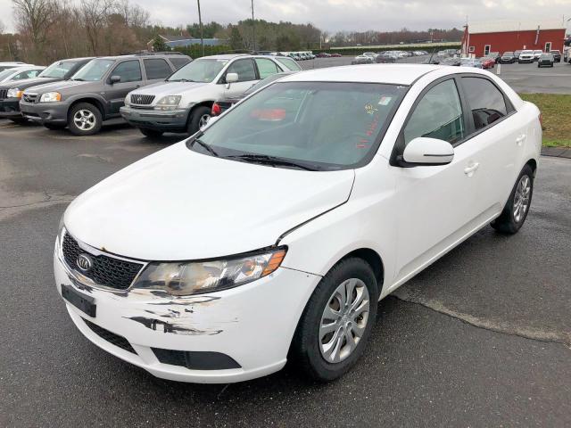 KNAFU4A23B5434342 - 2011 KIA FORTE EX WHITE photo 2