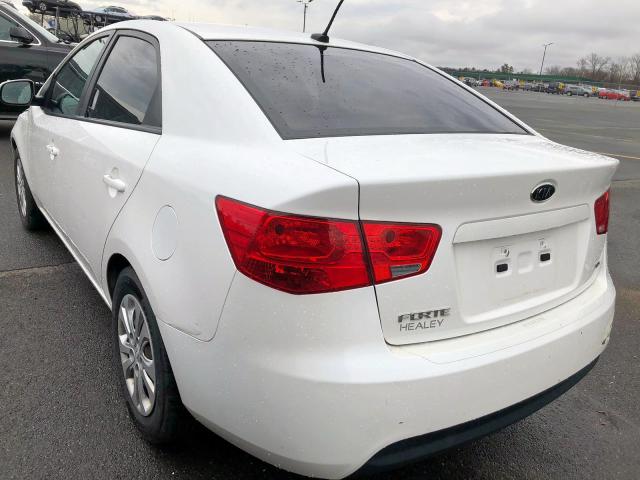 KNAFU4A23B5434342 - 2011 KIA FORTE EX WHITE photo 3