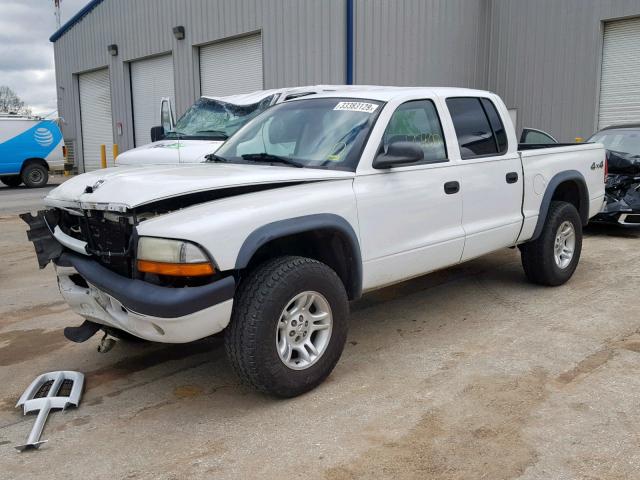 1D7HG38N43S334580 - 2003 DODGE DAKOTA QUA WHITE photo 2