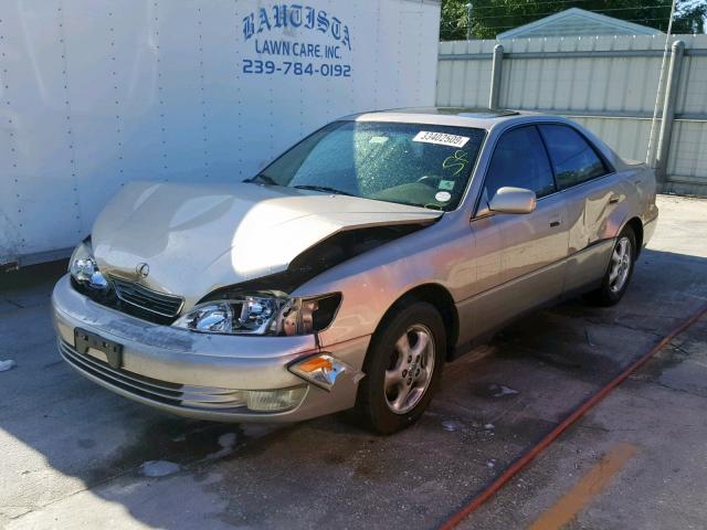 JT8BF22G8V0064287 - 1997 LEXUS ES 300 GOLD photo 2