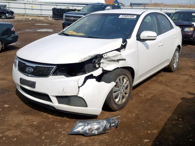 KNAFU4A23C5529811 - 2012 KIA FORTE EX WHITE photo 2