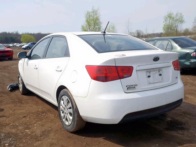 KNAFU4A23C5529811 - 2012 KIA FORTE EX WHITE photo 3