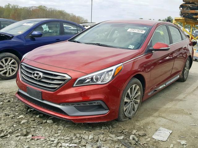 5NPE34AF0FH067653 - 2015 HYUNDAI SONATA SPO RED photo 2