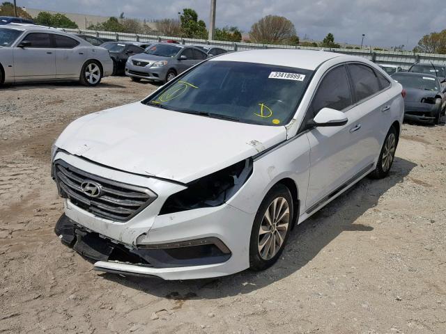 5NPE34AF8GH269528 - 2016 HYUNDAI SONATA SPO WHITE photo 2