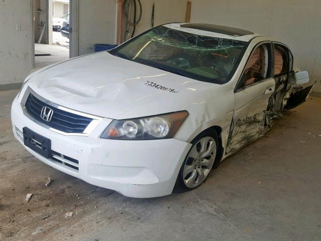 JHMCP268X8C041889 - 2008 HONDA ACCORD EXL WHITE photo 2