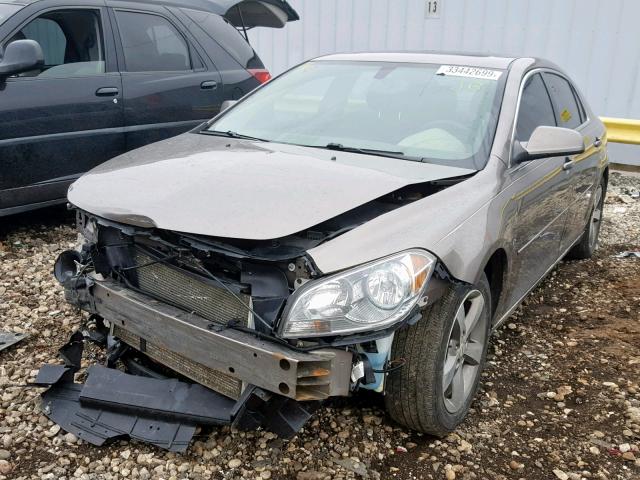 1G1ZC5E17BF331146 - 2011 CHEVROLET MALIBU 1LT BROWN photo 2