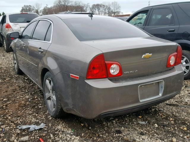 1G1ZC5E17BF331146 - 2011 CHEVROLET MALIBU 1LT BROWN photo 3