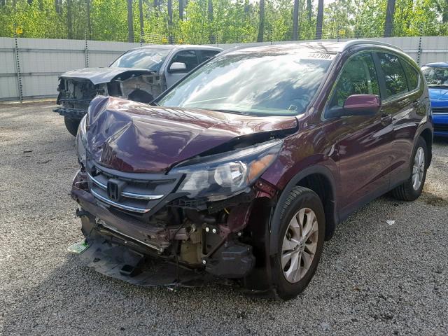 5J6RM3H71CL011827 - 2012 HONDA CR-V EXL BURGUNDY photo 2