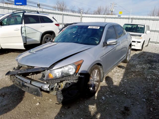 1HGCP3F88BA013021 - 2011 HONDA ACCORD EXL  photo 2