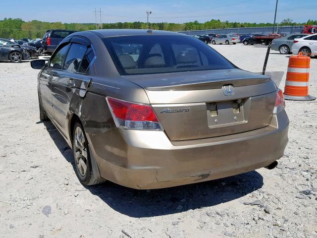 JHMCP26838C049364 - 2008 HONDA ACCORD EXL TAN photo 3