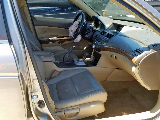 JHMCP26838C049364 - 2008 HONDA ACCORD EXL TAN photo 5