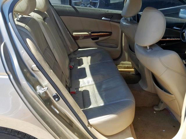 JHMCP26838C049364 - 2008 HONDA ACCORD EXL TAN photo 6