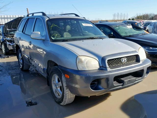 KM8SB13D14U700210 - 2004 HYUNDAI SANTA FE GRAY photo 1